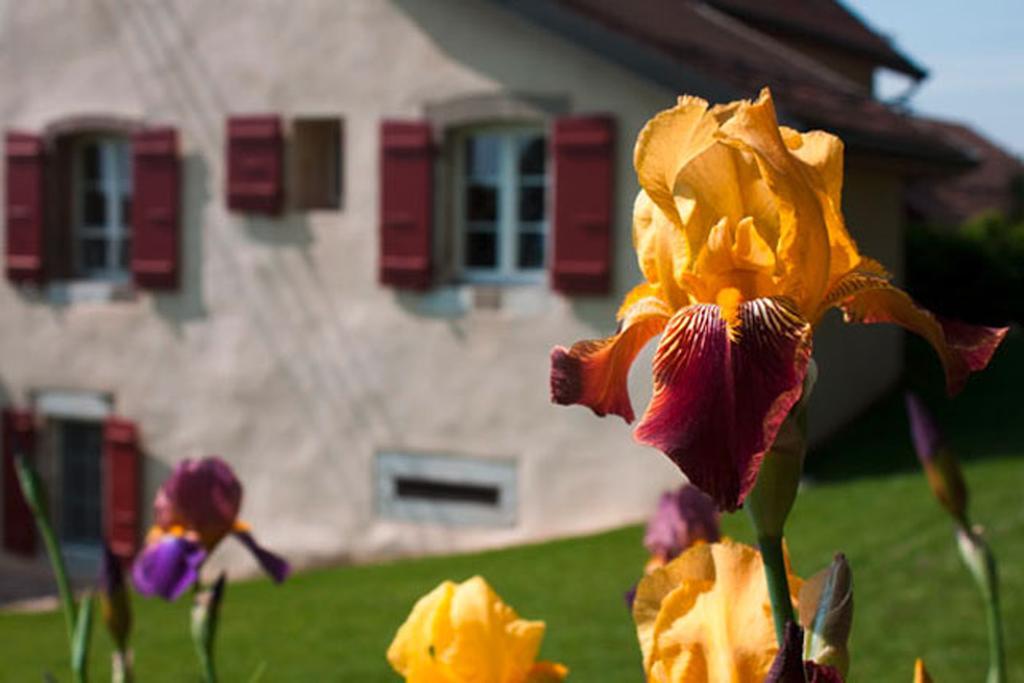La Belle Saison Bed and Breakfast Mollens  Exterior foto