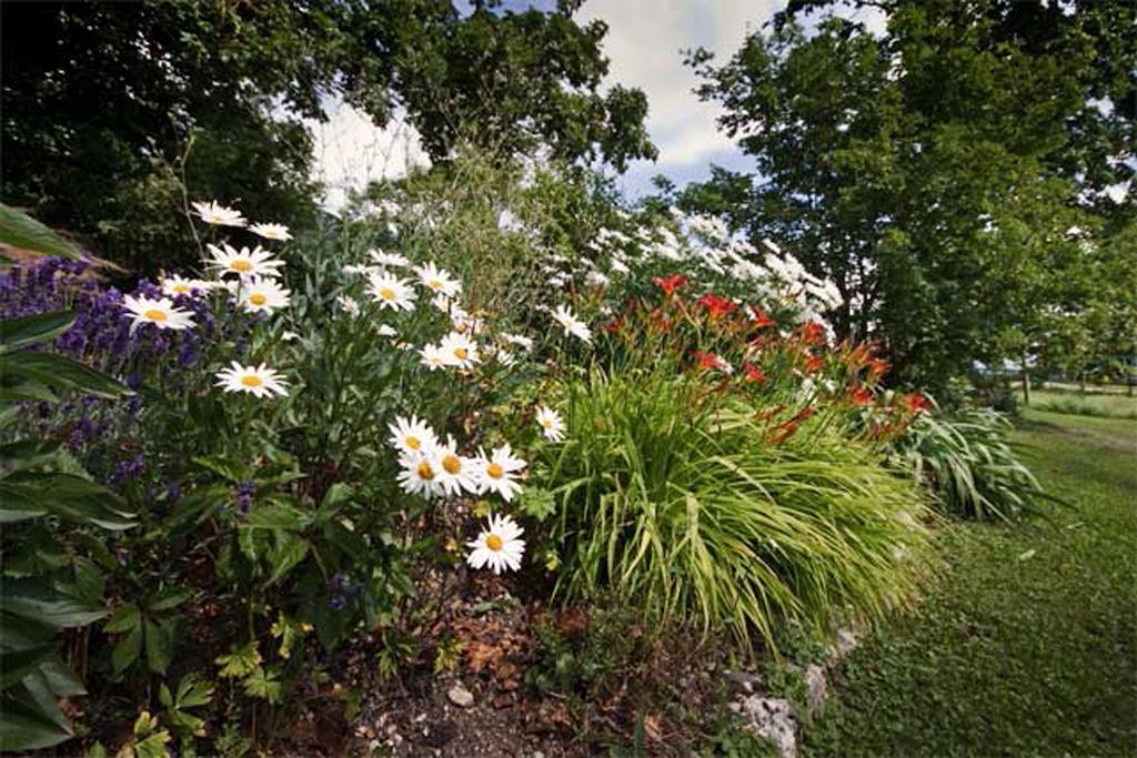 La Belle Saison Bed and Breakfast Mollens  Exterior foto